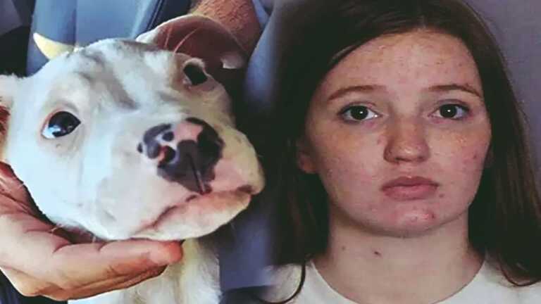 3 Aylık Bebek Pitbull Faciası Yaşadı