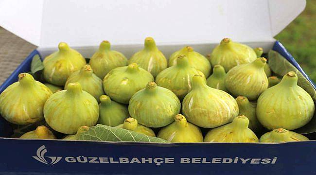 9.Payamlı Bardacık Festivali Başlıyor