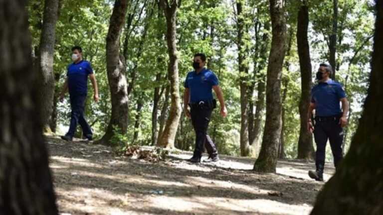 Ankara Valiliği Orman Yangınlarıyla Mücadele İçin Ormanlara Girişleri Yasakladı