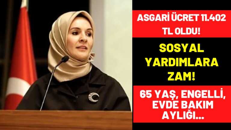 Asgari Ücret 11.402 TL Açıklandı! Sosyal Yardımlar Zamlı Yatacak! Engelli, Yaşlı, Aile Destek Ödemeleri