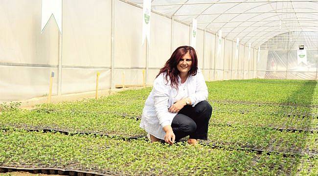 Ata Tohumlarından Üretilen Fideler Vatandaşlarla Buluştu