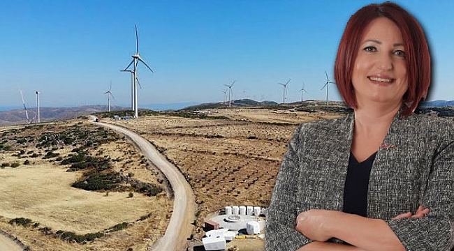 Başkan Erdoğan’dan RES tepkisi!
