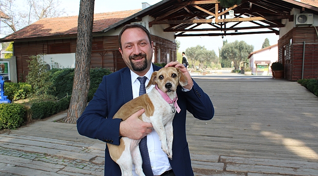 Başkan Gümrükçü’den Hayvanseverlere Davet