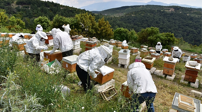 Başkan İduğ, “Bornovamıza yeni arıcılar kazandırmaya devam edeceğiz”