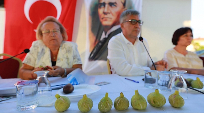 Başkan İnce, ‘Payamlı Köyü’ne üretici pazarı açacağız’