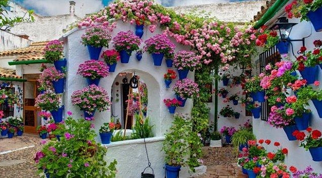 Bayındır Çiçek Festivali başlıyor