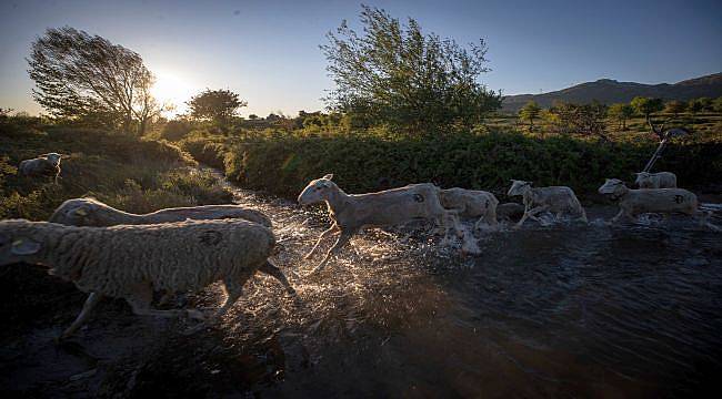 Bergama’da meralar kapılarını açtı
