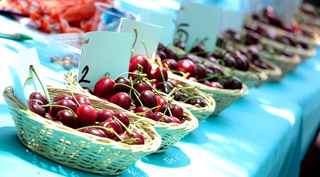 Bornova Beşyol’da Kiraz Festivali coşkusu
