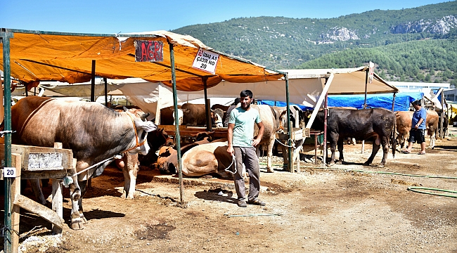 Bornova’dan kurban hizmeti  