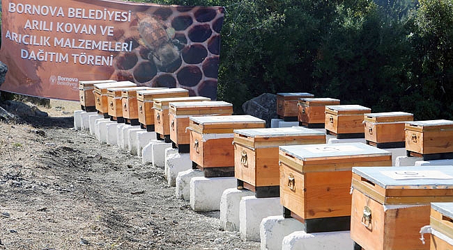 Bornova’nın arılığı bal ormanına dönüşüyor