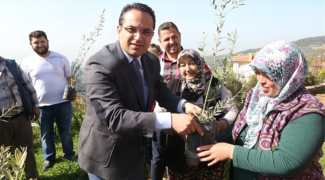 Bornova’nın ayvası var narı var