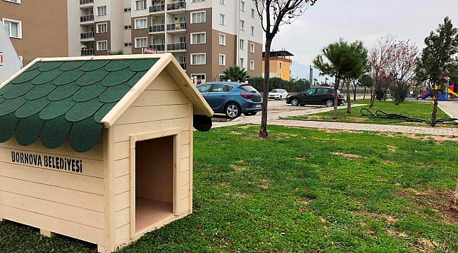 Bornovalılar can dostlara duyarsız kalmadı
