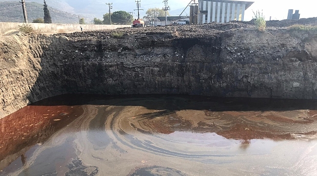 Çevre katliamı yine başladı