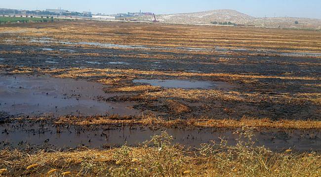 “Çevreye verilen zarar nasıl giderilecek?”