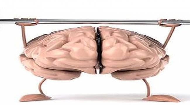 Daha dinamik bir beyin ve hafıza için öneriler