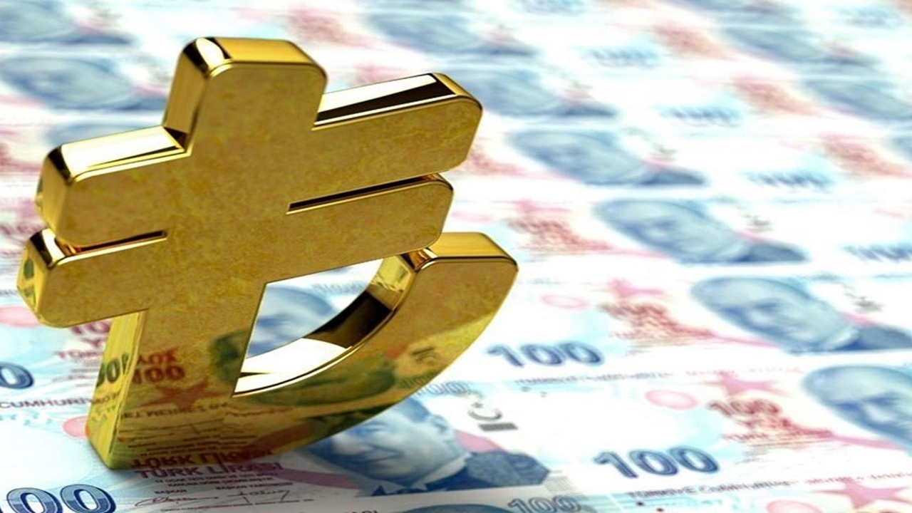 Dolar ve Enflasyon Tahmini 2024