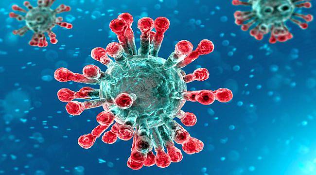 “Düzenli egzersiz kanseri ve Covid-19’u  önleyebilir”