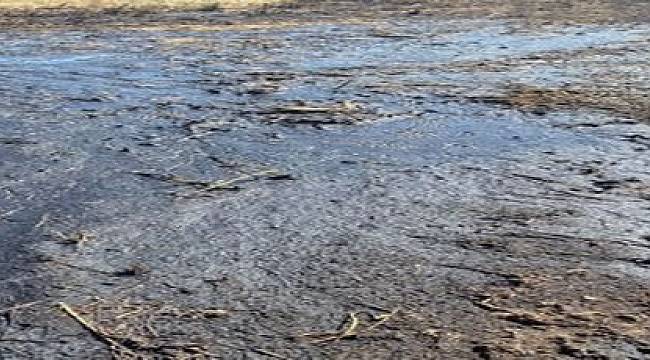 Foça isyanda! “Sabrımız bitti suç duyurusunda bulunacağız”