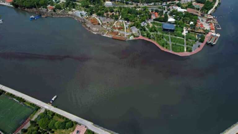 Haliç Kötü Koku ve Kirlilikle Boğuşuyor