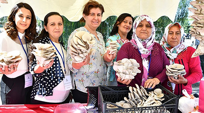 Hem sağlık hem lezzet