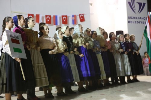 imgl3708.jpg