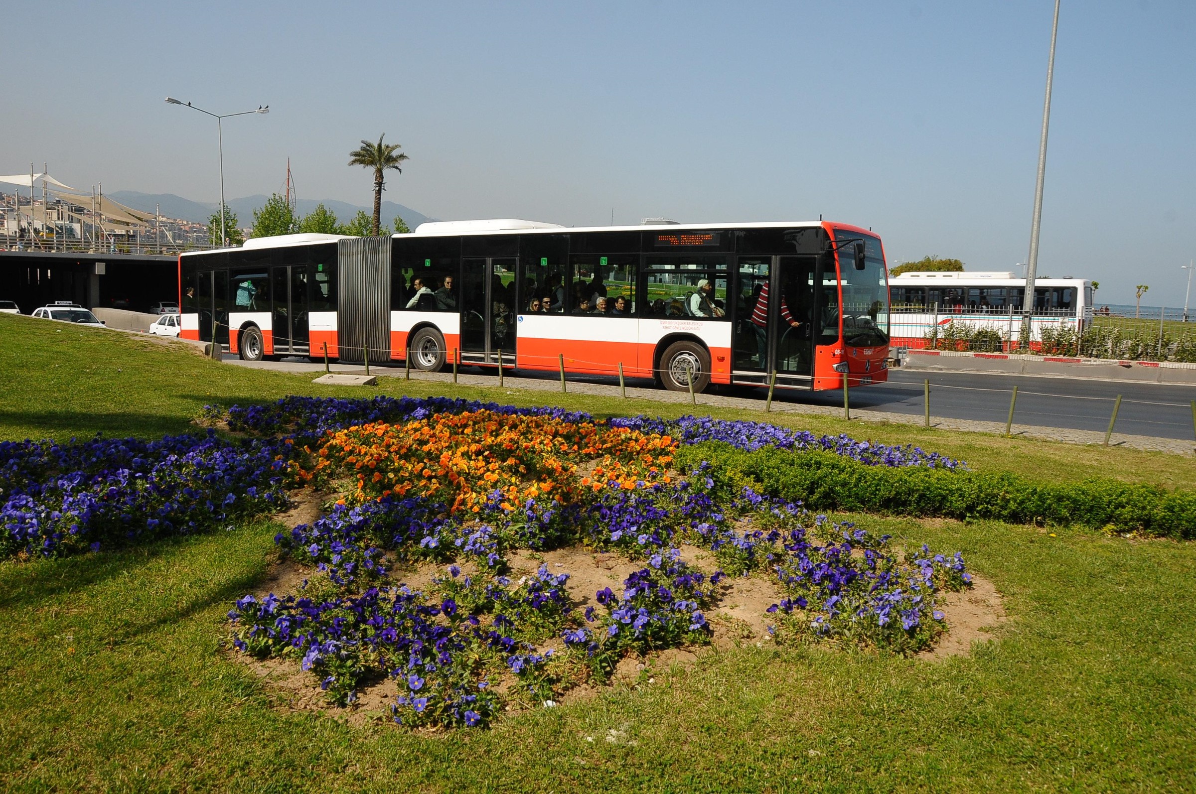s675700.jpg
