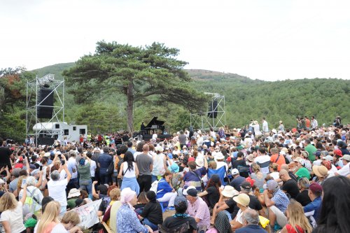 balcova-destek-03.jpg
