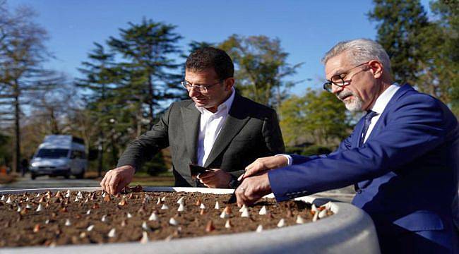 İstanbul Lalesi Anavatanına Döndü