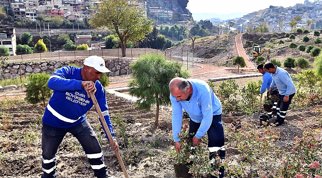 Kadifekale’de “yeşil seferberlik”