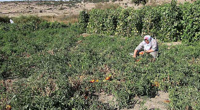 Karşıyaka’da “Tarımsal Kalkınma Hamlesi” Başlıyor!