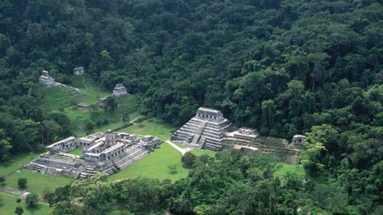 Kayıp Bir Maya Şehri Keşfedildi: Ocomtun, Yucatan Yarımadası’nda Bulundu