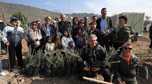 Kentsel Dönüşüm Ormanı’na bin 500 zeytin fidanı