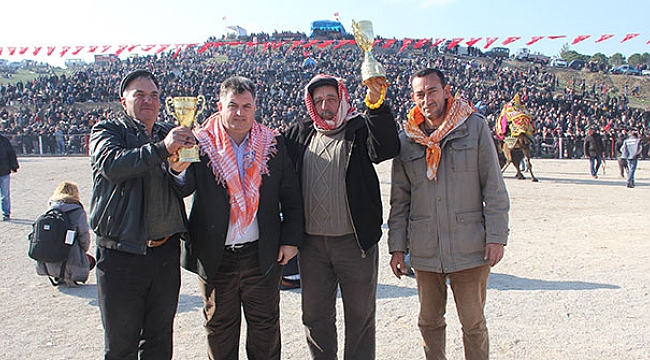Kınık’ta Deve Güreşi Festivali sona erdi