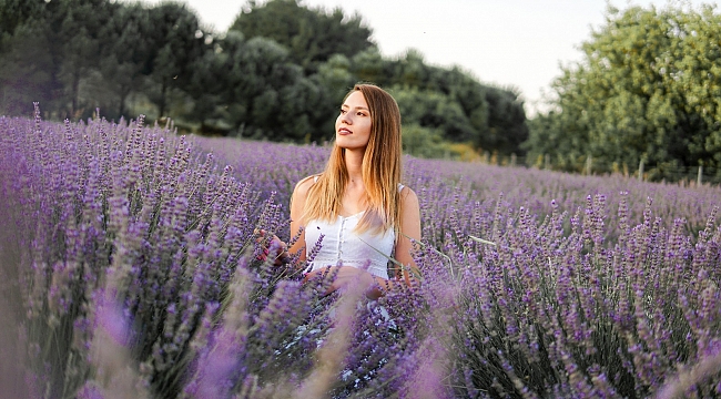 Lavanta Şenliği Seferihisar’da başlıyor