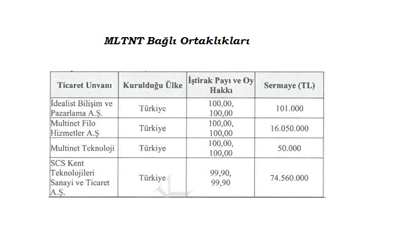 Multinet Bağlı Ortaklıkları