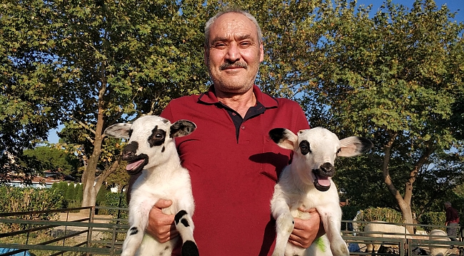 Mutluluğun resmi