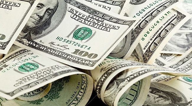 Nisan’da aylık en yüksek reel getiri dolarda oldu