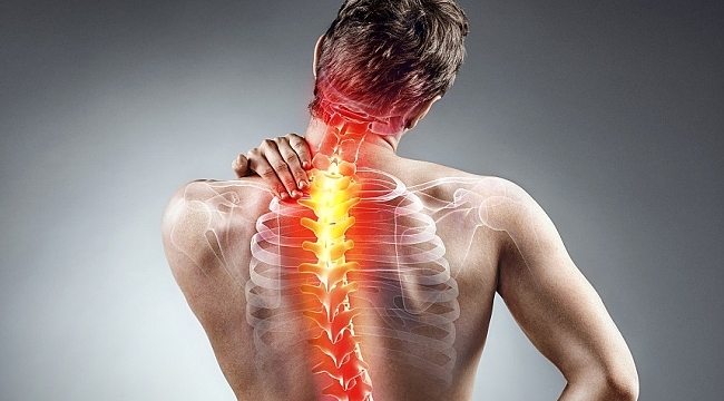 Omurga rahatsızlıkların “kayropraktik” çözüm
