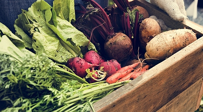 Organik beslenme popüler bir diyet mi?