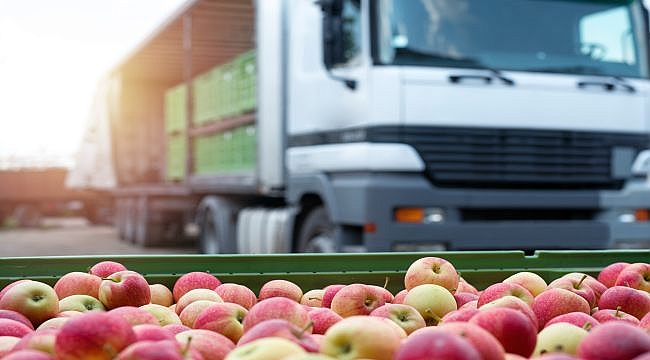 Şoför değişimi ile ihracat risksiz yapılıyor