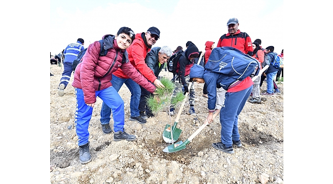 Taş ocağıydı, orman olacak