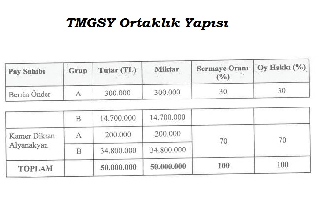 Techmine GSYO Kimin, Ortaklık Yapısı Nasıl?