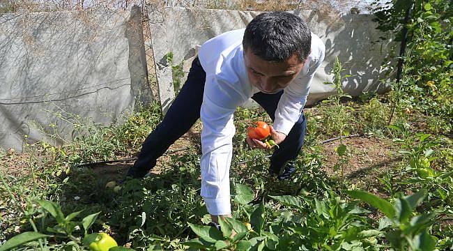 Tohum Eken Gölbaşılı Eller Kazanacak