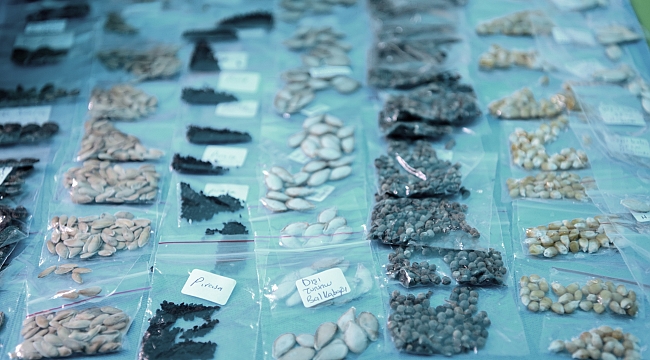 Tohum Takas Şenliği, Bornova’da düzenlenecek!