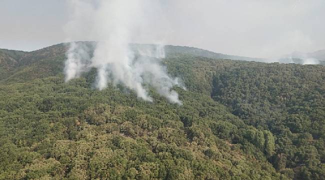Tunceli’de Yangına Müdahale Devam Ediyor