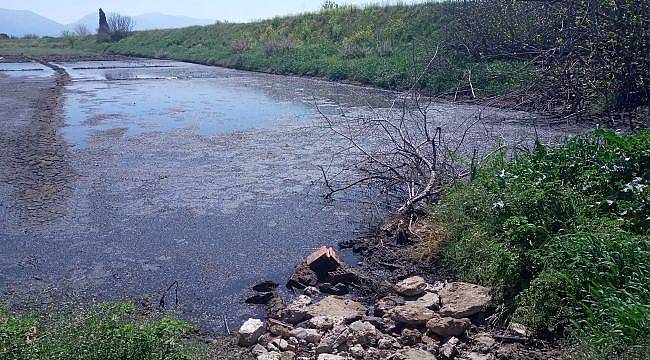 Turgutlu’da çevre katliamı sürüyor