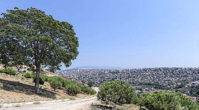 Türkiye’nin ilk büyük yeşil dönüşüm projesi Yeşildere’de başlayacak
