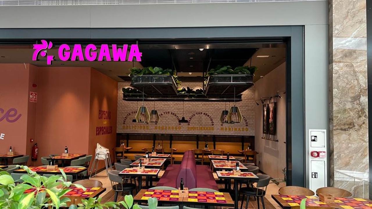 Tavuk Dünyası Markası Gagawa