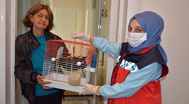 Yalnızlığını Muhabbet Kuşu ile Unutacak