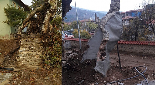Yüzyılın operasyonu